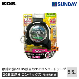 ebNKDS KDS GGRH  255.5M RxbNX W[  v ƍH H RxbNX