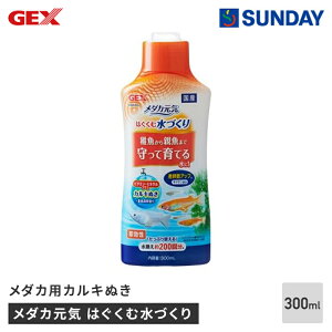 GEX _JC ͂ސÂ _JpJLʂ 300ml Y LgT t  ybgpi Ϗ܋pi 