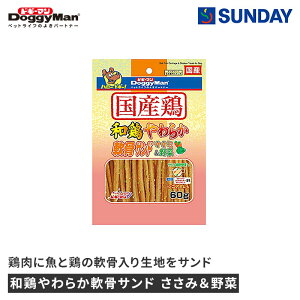 hM[} a{炩Th ݁ 60g {  ^ ybgpi pi hbOXibN TT~W[L[