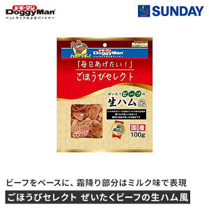 hM[} قуZNg r[t̐n 100g  r[t ybgpi pi hbOXibN r[tE`LW[L[