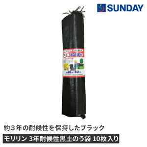  3Nό󐫍ŷ 10 h Q hЗpi ŷ