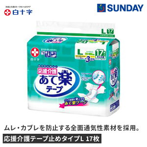 \  e[v~߃^CvL 17ylpނz ނ e[v^Cv pՕi VjApi