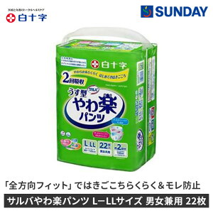\ Toypc L|LLTCY jp 22 ނ pc^Cv h~ pՕi VjApi