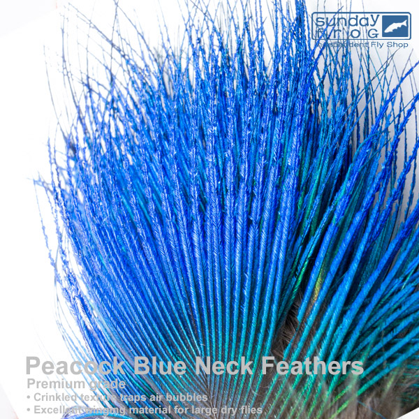 【ラッピング不可】 華麗 Peacock Blue Neck Feather ピーコック ブルーネック EX learnrealjapanese.com learnrealjapanese.com