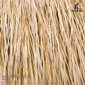 楽天市場 サンディフロッグ エルクヘアーの通販