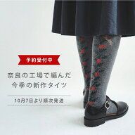【予約】10月7日より発送予定 タイツ 厚手 レディース ソックス ande アンデ 日本製 抗菌 防臭 ハイゲー…