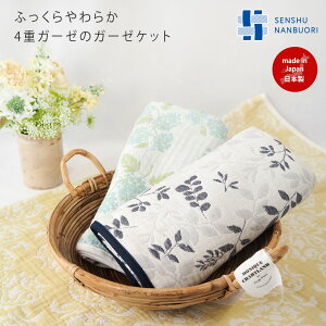 xr[ K[[uPbg 4dK[[ B^I B암D 64040001 maison blanche ]uV | K[[Pbg uPbg ԕ 킢  Mtg bsO v[g oY