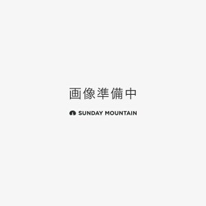 u[tBO SWg[g[g BRIEFING SW TALL TOTE BRA253T02 g[gobO rWlXobO  X}[g[ gx s  Lv AEghA