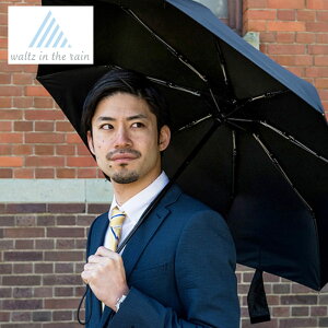 cCUC kC waltz in the rain Nu-Rain Y fB[X ܂肽ݎP  ܂ J ^b`  ϐ JP jp 8{ x Lv Mtg