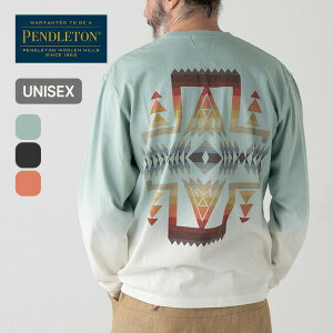 �y���h���g�� �O���f�[�V�����_�C�o�b�N�v�����gL/S Tee PENDLETON GRADATION DYE BACK PRINT L/S TEE 6175-3010 ���j�Z�b�N�X �����Y ���f�B�[�X ����T ���� T�V���c �J�b�g�\�[ ������� ������� �L�����v 