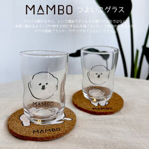 MAMBO 悢OX CLASKA NXJ 悢OX KX KXH ɂ H MAMBO CXg STCY MTCY q j Mtg킢