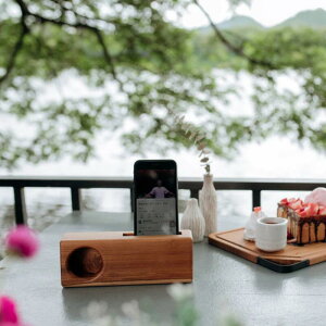 Wod speaker singleEbhXs[J[J FURNITUREWFCt@j`[ BR-56 walnut teak AEghA  ؐ `[N C 킢 JtF