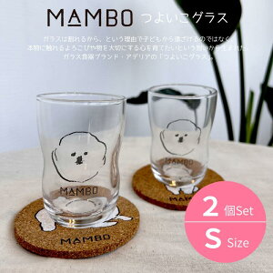 ySTCY2Zbg10OFFzMAMBO 悢OX CLASKA 悢OX KX KXH ɂ H MAMBO CXg STCY 2Zbg q j Mtg킢