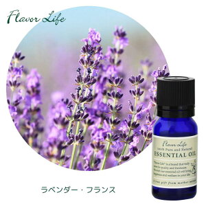 x_[tX GbZVIC()10ml t[o[Ct  t[n n[u D bNX i`