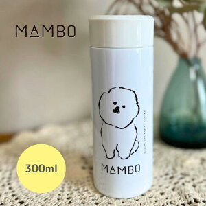 MAMBO XeXX{g CLASKA NXJ eʖ300ml  }{ ^fMd\ }O Mtg v[g l q  y ۉ ۗ {g  킢 rVE