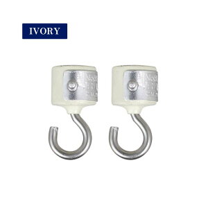 }OleBbN tbN 2pcs Zbg DULTON_g MAGNETIC HOOK SET OF 2 ̓}Olbg ItBX Lb` K[W 