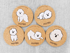 MAMBO RNR[X^[ / 5ZbgCLASKA RN 삢Â CXg rWEt[[ Vv   킢 {