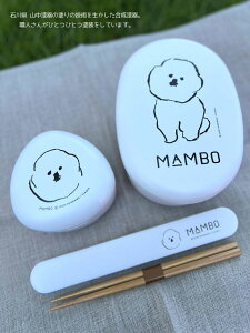 MAMBO `{bNX ^ CLASKA ׂƂ ٓ ٓ q dqWΉ H@  1i q l e480ml { R ȉ~ `{bNX W w w 