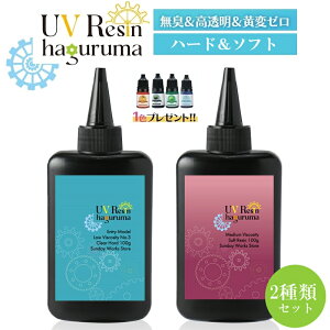 レジン液 ソフトタイプ ハードタイプ 2種類2本セット ぷにぷに曲がる ソフトレジン さらさら 低粘度 ハードレジン 大容量100g ソフト レジン