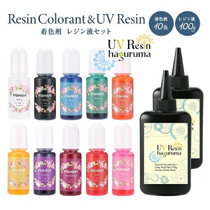 レジンセット レジン液 着色剤 12点セット レジン着色剤 10色 レジン液大容量100g2本 レジンスターターセット