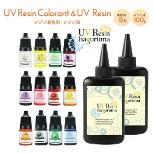レジンセット レジン液 着色剤 14点セット レジン着色剤 12色 レジン液大容量100g2本 レジンスターターセット