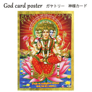 �_�l �J�[�h�F�K���g���[ / �C���h �v���[���g �|�X�g�J�[�h �|�X�^�[ �L���L�� �S�[���h �J�^ ����