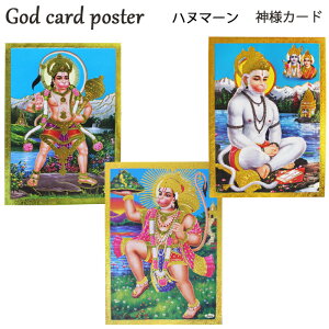 �_�l �J�[�h�F�n�k�}�[�� / �C���h �v���[���g �|�X�g�J�[�h �|�X�^�[ �L���L�� �S�[���h �J�^ ����