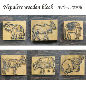 lp[ؔŁF]EAMAqcW / nhubN ͂ X^v  Rr r lp[̖ؔ