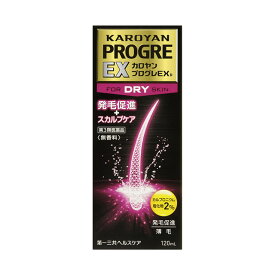 【第3類医薬品】カロヤンプログレ EX DRY（ドライ） 120ml