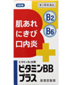 【第3類医薬品】ビタミンBBプラス「クニヒロ」 250錠