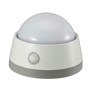 I[d@ LEDZT[Cg Á{lZT[t