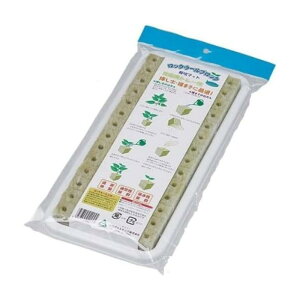 av bNE[͔|}bgig[tj 84P