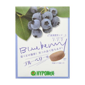 nC|lbNX ܔ엿V[Y u[x[p 30