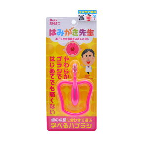 IJ ݂͂搶 xr[OuV 1{F̑Is y3Zbgz