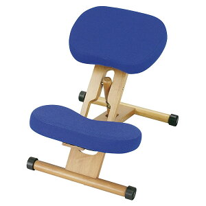 {쏊 v|[V`FA@[J[ ԕiELZsyiƂ̓wsz