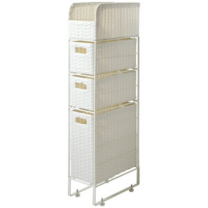 {쏊 ^h[`FXg DiarioifBAIj[J[ ԕiELZsyiƂ̓wsz 4kg