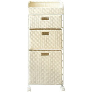 {쏊 h[`FXg DiarioifBAIj [J[ ԕiELZsyiƂ̓wsz 8.7kg