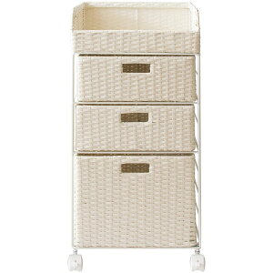 {쏊 h[`FXg DiarioifBAIj [J[ ԕiELZsyiƂ̓wsz 6.4kg