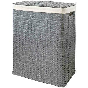 {쏊 h[{bNX DiarioifBAIj [J[ ԕiELZsyiƂ̓wsz 2.4kg