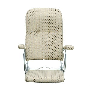 {쏊 ܂肽ݍ֎q PLACEivXj [J[ ԕiELZsyiƂ̓wsz 3.7kg