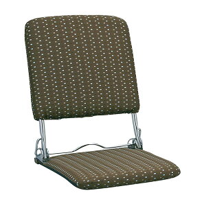 {쏊 ܂肽ݍ֎q PLACEivXj [J[ ԕiELZsyiƂ̓wsz 2.2kg