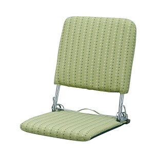 {쏊 ܂肽ݍ֎q PLACEivXj [J[ ԕiELZsyiƂ̓wsz 2.2kg