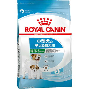 p ~j X^[^[ }U[xr[hbO 1kgx1yCJiHÖ@Hz  uF؂͂vJ[gɓĂ