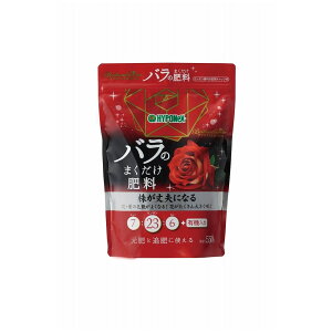 nC|lbNX uAgK[f ô܂엿 550g