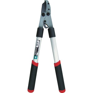 PRUMAN ���N����~�j���}���� OM300 �y�����i�z �ԕi�E�L�����Z���E�����i�Ɠ����w���͕s��