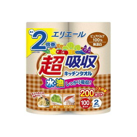 大王製紙 エリエール 超吸収キッチンタオル無漂白 2ロール 【24個セット】