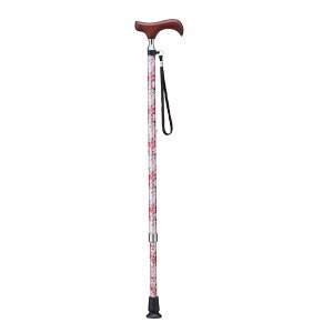 XlbNLkE-252A [J[ ԕiELZsyiƂ̓wsz