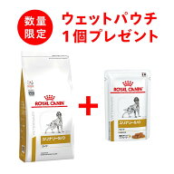 【数量限定サンプル付き】犬用 ユリナリーS/Oライト 3kgx1【ロイヤルカナン食事療法食】 ※ 「認証はこち…