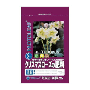 vg[t NX}X[Y̔엿 700g