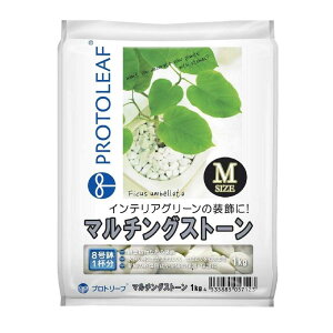 vg[t }`OXg[izCgjM 1kg